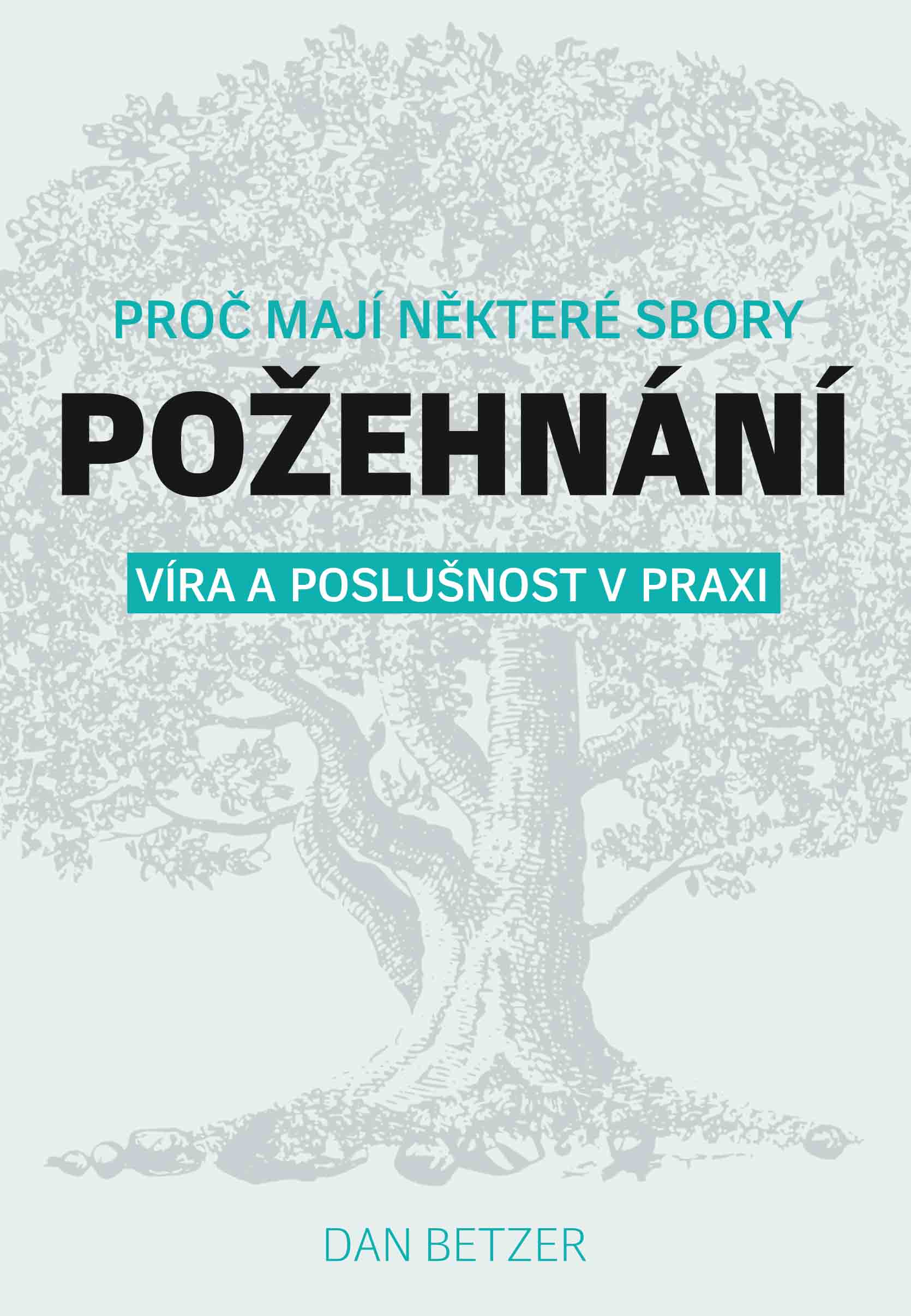 Proč mají některé sbory požehnání - Víra a poslušnost v praxi