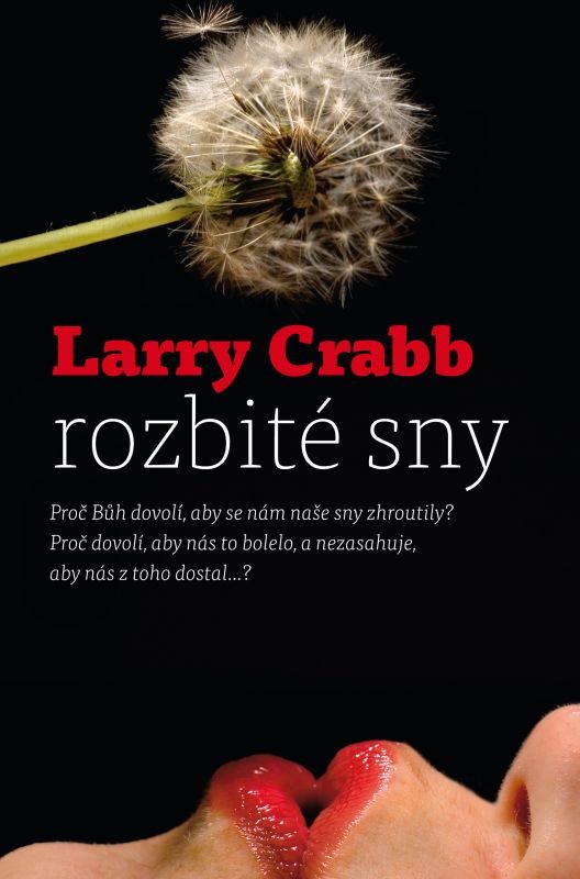 Rozbité sny - Larry Crabb