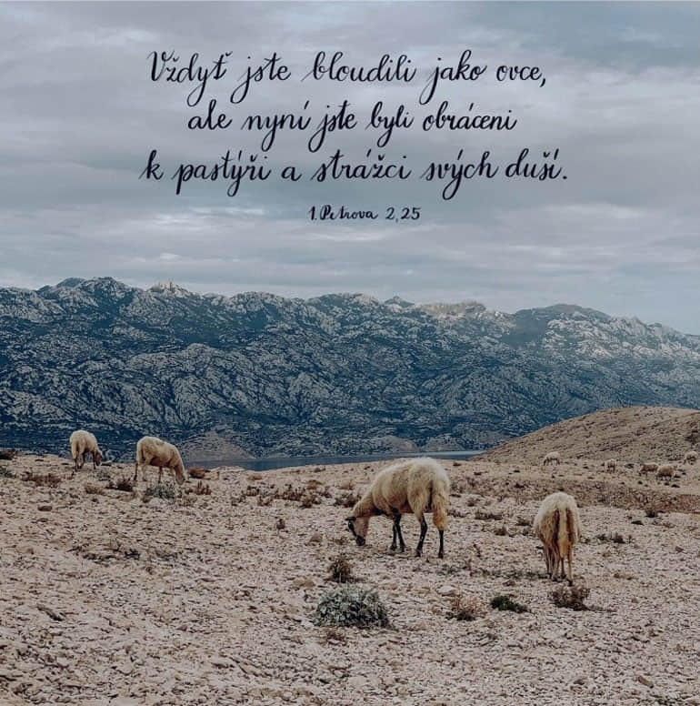 U tebe je odpuštění   Nástěnný kalendář 2026