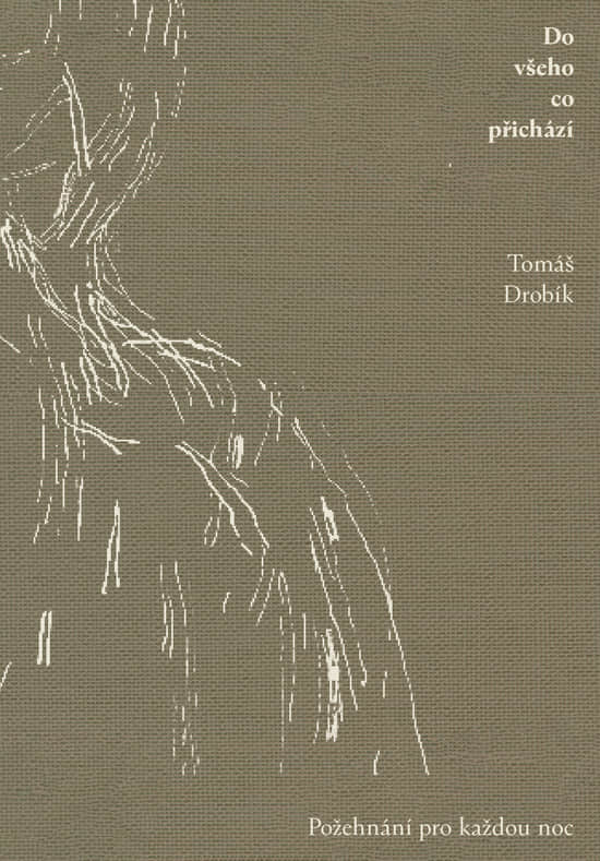 Do všeho co přichází - Tomáš Drobík