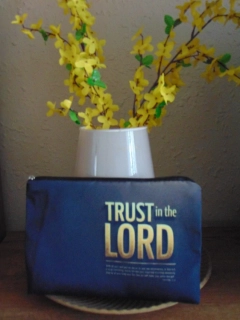 Kosmetická taštička