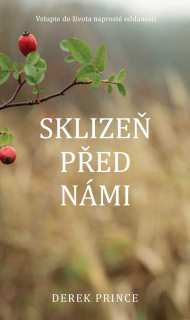 Sklizeň před námi - Derek Prince