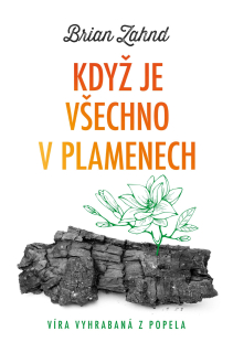 Když je všechno v plamenech Víra vyhrabaná z popela  -  Brian Zahnd