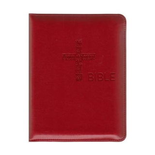 Bible čEP DT malá s přílohami