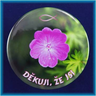 Magnetek s textem-prům.75mm-Děkuji, že jsi