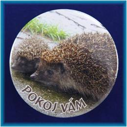 Magnetek s textem-prům.75mm-Pokoj Vám