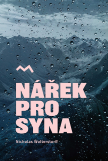 Nářek pro syna  - Nicholas Wolterstorff