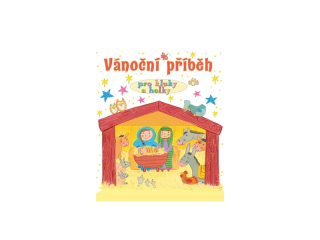 Vánoční příběh pro kluky a holky